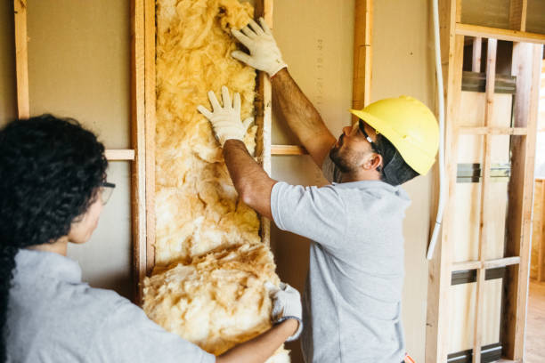 Garage Insulation Installation in Argo, AL